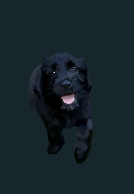 Abstract labradoodle (Delta)