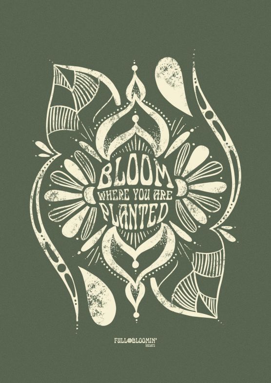Bloom