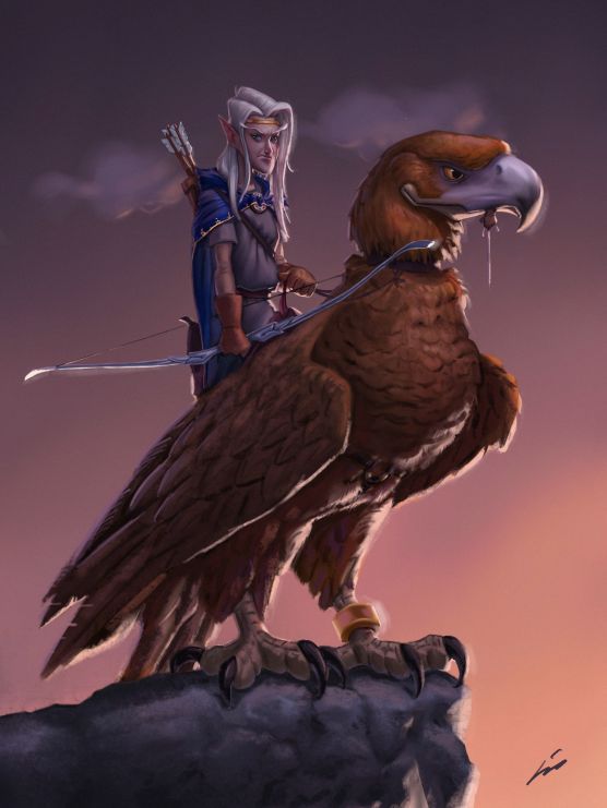 Elf and eagle
