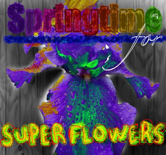 Springtime