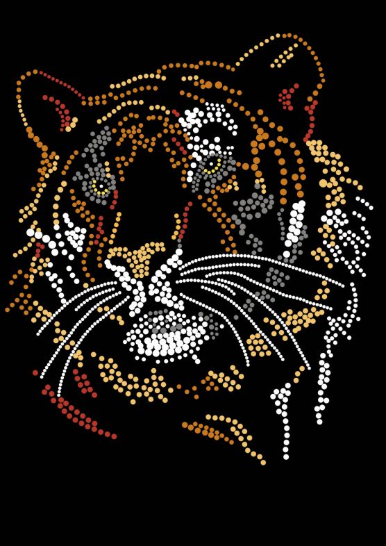 Annastore 3-teiliges Tiger-Verkleidungsset Mit Strass & Federn – Haarreif, Fliege, Schwanz