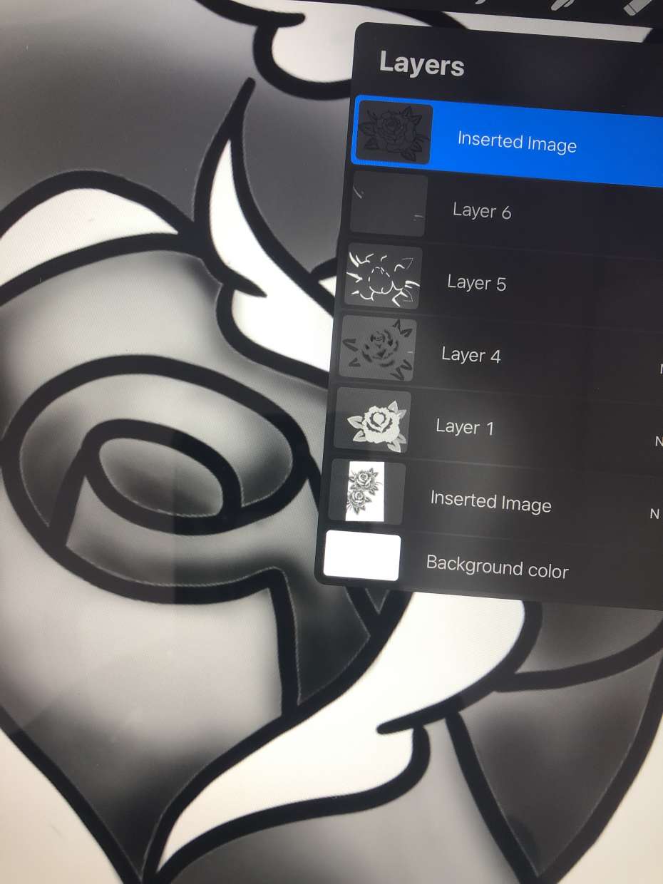 How To Add A White Border In Procreate
