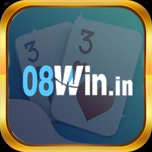 08winin
