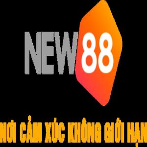 bài đánh giá về new88